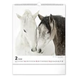 Kép 3/5 - Falinaptár REALSYSTEM 300x340mm álló Horses 2026.