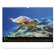 Kép 2/5 - Falinaptár REALSYSTEM 480x330mm fekvő Wildlife 2026.