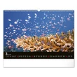 Kép 4/5 - Falinaptár REALSYSTEM 480x330mm fekvő Wildlife 2026.