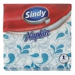 Kép 1/2 - Szalvéta SINDY 1 rétegű 45 lapos 33x33 cm türkiz motívumos