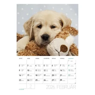 Falinaptár LIZZY CARD A/4 álló Kutyák 2026.