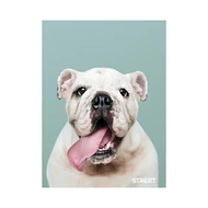 Füzet vonalas STREET A/5 54 lapos Friends margóval Füzet vonalas STREET A/5 54 lapos Friends margóval