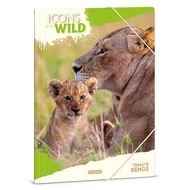 Gumis mappa ARS UNA A/4 Icons of the Wild-Lions