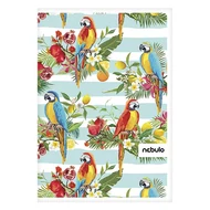 Spirálfüzet vonalas NEBULO L-Design A/4 70 lapos